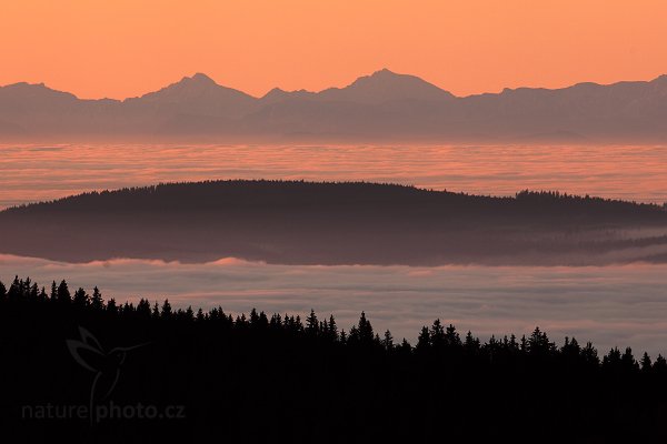 Alpy ze Šumavy, Autor: Ondřej Prosický | NaturePhoto.cz, Model: Canon EOS 5D Mark II, Objektiv: Canon EF 17-40mm f/4 L USM, Ohnisková vzdálenost (EQ35mm): 500 mm, stativ Gitzo, Clona: 8.0, Doba expozice: 1/25 s, ISO: 100, Kompenzace expozice: -1, Blesk: Ne, Vytvořeno: 30. října 2011 1:53:33, Prachaticko, Šumava (Česko) 