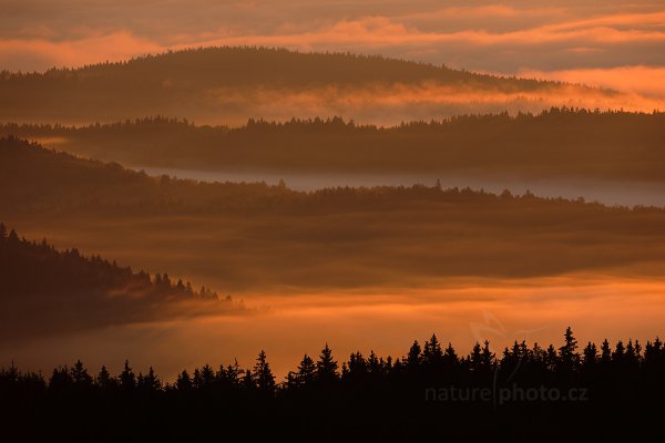 Svítání pod Knížecím stolcem, Autor: Ondřej Prosický | NaturePhoto.cz, Model: Canon EOS 5D Mark II, Objektiv: Canon EF 500mm f/4 L IS USM, Ohnisková vzdálenost (EQ35mm): 500 mm, stativ Gitzo, Clona: 8.0, Doba expozice: 1/80 s, ISO: 100, Kompenzace expozice: -1/3, Blesk: Ne, Vytvořeno: 30. října 2011 1:56:24, Prachaticko, Šumava (Česko) 