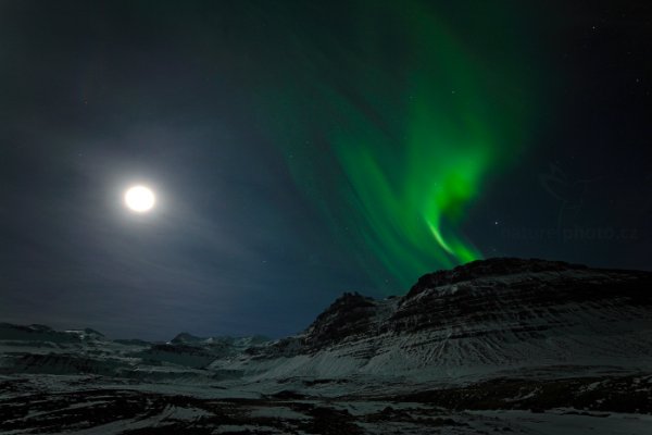 Polární záře, Kirkjufell, Grundarfjörður, Island, Autor: Ondřej Prosický | NaturePhoto.cz, Model: Canon EOS 5D Mark II, Objektiv: Samyang 14mm f/2.8 ED AS IF UMC, Ohnisková vzdálenost (EQ35mm): 14 mm, stativ Gitzo, Clona: 0.0, Doba expozice: 3.0 s, ISO: 800, Kompenzace expozice: 0, Blesk: Ne, Vytvořeno: 24. března 2013 0:44:15, Kirkjufell, Grundarfjörður (Island)