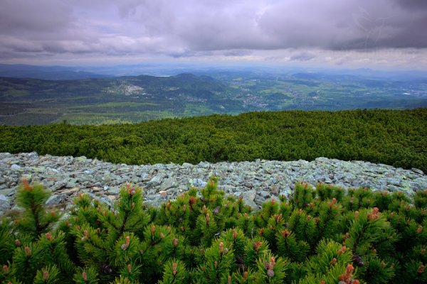 Pohled z hřebenů Krkonoš do Polska, Svorová hora, Krkonoše (Česko)