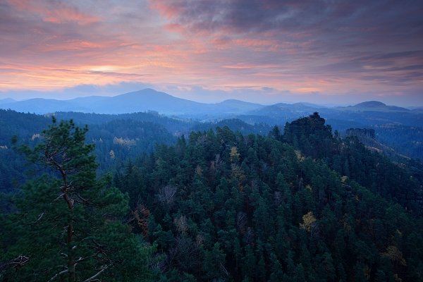 Ranní svítání bez slunce, Autor: Ondřej Prosický | NaturePhoto.cz, Model: Canon EOS 5D Mark II, Objektiv: Canon EF 17-40mm f/4 L USM + PL filtr B+W, Ohnisková vzdálenost (EQ35mm): 24 mm, stativ Gitzo, Clona: 13, Doba expozice: 2.5 s, ISO: 100, Kompenzace expozice: -1, Blesk: Ne, Vytvořeno: 10. listopadu 2012 7:11:48, Vylemínina vyhlídka, NP České Švýcarsko (Česko) 