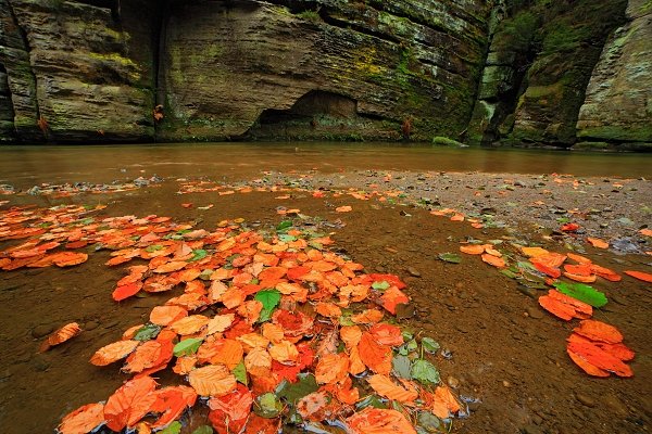 Podzim u Kamenice, České Švýcarsko, Podzim u Kamenice, Autor: Ondřej Prosický | NaturePhoto.cz, Model: Canon EOS 5D Mark II, Objektiv: Samyang 14mm f/2.8 IF ED UMC Aspherical, Ohnisková vzdálenost (EQ35mm): 14 mm, stativ Gitzo, Clona: 0.0, Doba expozice: 1.3 s, ISO: 100, Kompenzace expozice: +1/3, Blesk: Ne, Vytvořeno: 11. listopadu 2012 9:56:25, NP České Švýcarsko (Česko)  