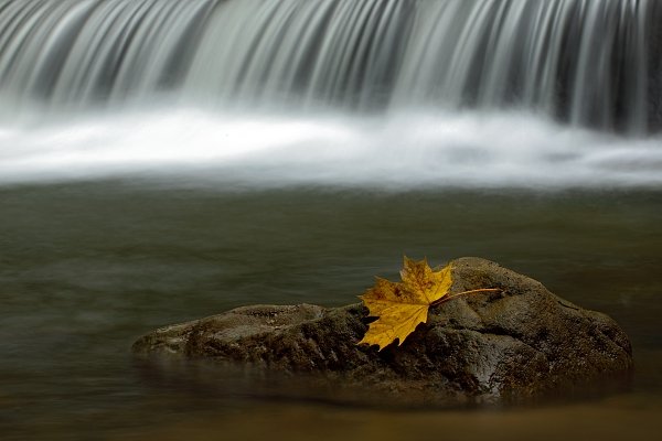 Podzim na Kamenici, České Švýcarsko, Podzim u Dolského mlýna, Autor: Ondřej Prosický | NaturePhoto.cz, Model: Canon EOS 5D Mark II, Objektiv: Canon EF 100mm f/2.8 L IS Macro USM + PL filtr Hoya, Ohnisková vzdálenost (EQ35mm): 100 mm, stativ Gitzo, Clona: 25, Doba expozice: 2.5 s, ISO: 50, Kompenzace expozice: -1/3, Blesk: Ne, Vytvořeno: 11. listopadu 2012 11:23:59, NP České Švýcarsko (Česko)