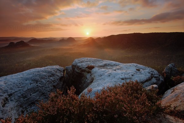 Kleiner Winterberg, Saské Švýcarsko, Autor: Ondřej Prosický | NaturePhoto.cz, Model: Canon EOS 5D Mark II, Objektiv: Canon EF 17-40mm f/4 L USM + PL filtr Hoya + LEE ND 0.9 Hard, Ohnisková vzdálenost (EQ35mm): 22 mm, stativ Gitzo, Clona: 16, Doba expozice: 4.0 s, ISO: 100, Kompenzace expozice: -1, Blesk: Ne, 30. září 2012 7:12:38, Sächsische Schweiz (Německo)