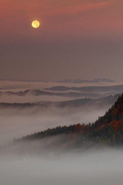 Měsíc nad krajinou, Autor: Ondřej Prosický | NaturePhoto.cz, Model: Canon EOS 5D Mark II, Objektiv: Canon EF 100mm f/2.8 L Macro IS USM + PL filtr Hoya, stativ Gitzo, Clona: 9.0, Doba expozice: 0.8 s, ISO: 100, Kompenzace expozice: -1/3, Blesk: Ne, 19. října 2013 7:27:32, Mariina Vyhlídka, NP České Švýcarsko (Česko) 