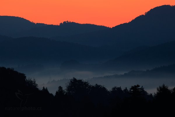 Před svítáním, Autor: Ondřej Prosický | NaturePhoto.cz, Model: Canon EOS 5D Mark II, Objektiv: Canon EF 400mm f/2.8 L IS II USM, stativ Gitzo, Clona: 8.0, Doba expozice: 5.0 s, ISO: 100, Kompenzace expozice: -1 2/3, Blesk: Ne, 28. září 2013 6:23:15, Vilemínina vyhlídka, NP České Švýcarsko (Česko) 