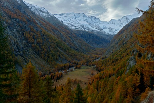 Autumn in Valnontay, Gran Paradiso, Italy, Autor: Ondřej Prosický | NaturePhoto.cz, Model: Canon EOS-1D X, Objektiv: EF17-40mm f/4L USM, Ohnisková vzdálenost (EQ35mm): 34 mm, stativ Gitzo, Clona: 14, Doba expozice: 1/5 s, ISO: 100, Kompenzace expozice: -2/0/+2, Blesk: Ne, 27. října 2013 9:10:03, Parco Nazionale Gran Paradiso (Itálie)