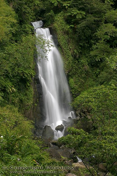 Trafalgar Falls (Dominika), Trafalgar Falls, ostrov Dominika, Malé Antily 