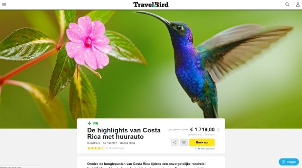 Webové stránky Travel Bird (2016)