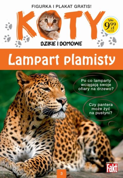 Kniha Koty, dzikie i domowe (2015)