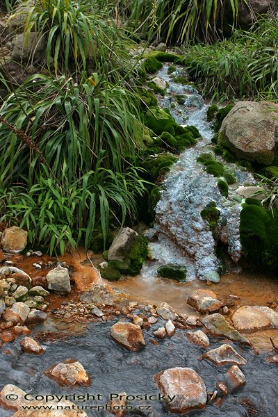 Povlaky vulkanickách sedimentů, Valley of Desolation, Morne Trois Pitons National Park, ostrov Dominika, Malé Antily