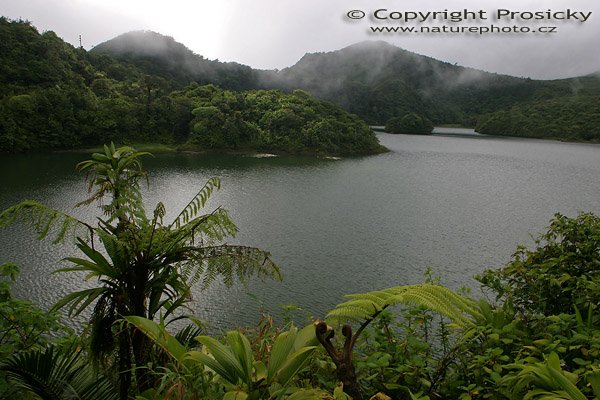 Jezero v mlžném lese, Freshwater Lake, Morne Trois Pitons National Park, ostrov Dominika, Malé Antily