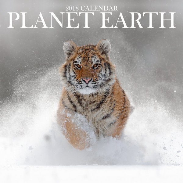 Kalendář Planet Earth 2018 (2017)