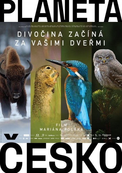 Plakát k filmu Planeta České (2018)