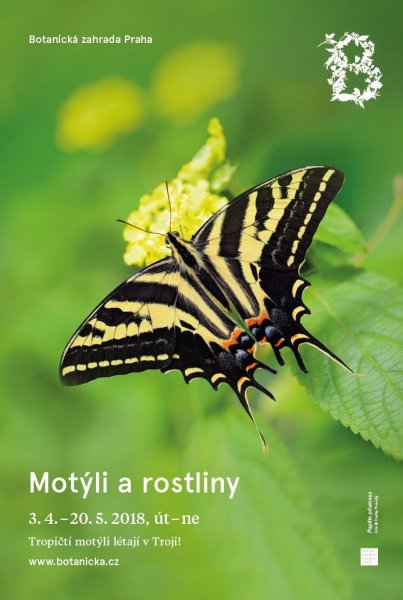 Plakát k výstavě Motýli a rostliny, Botanická zahrada (2018)