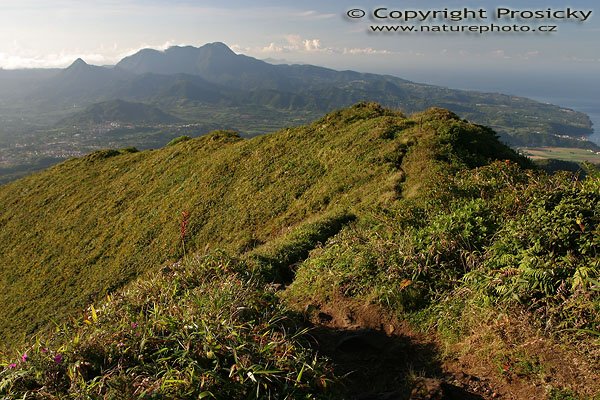 Pohled z vrchlu Mont Pelée, Mont Pelée (1397m), ostrov Martinik, Malé Antily