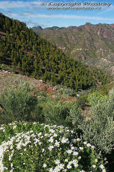 Pohoří na Gran Canaria, Pohoří na Gran Canaria, Autor: Ondřej Prosický, Model aparátu: Canon EOS 20D, Objektiv: Canon EF 17-40mm f/4 L USM, polarizačí filtr, stativ Gitzo G1227 + G1377, Ohnisková vzdálenost: 17.00mm, ostřeno manuálně, Clona: 18.00, Doba expozice: 1/15 s, ISO: 100, Vyvážení expozice: -2/3 EV, Blesk: Ne, Vytvořeno: 31. ledna 2006 11:10, Gran Canaria (Kanárské ostrovy)
