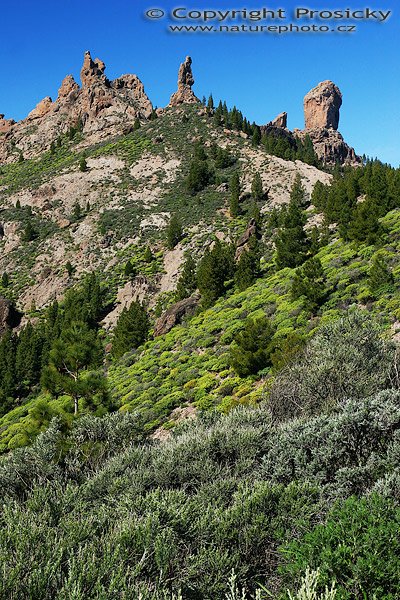 Skalní monument Roque Nublo, Skalní monument Roque Nublo, Autor: Ondřej Prosický, Fotoaparát: Canon EOS 20D, Objektiv: Canon EF 17-40mm f/4 L USM, polarizační filtr, stativ Gitzo G1227 + G1377, Ohnisková vzdálenost: 37.00mm, ostřeno manuálně, Clona: 11.00, Doba expozice: 1/60 s, ISO: 100, Vyvážení expozice: -1/3 EV, Blesk: Ne, Vytvořeno: 31. ledna 2006 11:39, Roque Nublo, Gran Canaria (Kanárské ostrovy)